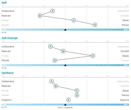 An example of the report generation by completing the Behavioral Assessment by Predictive Index